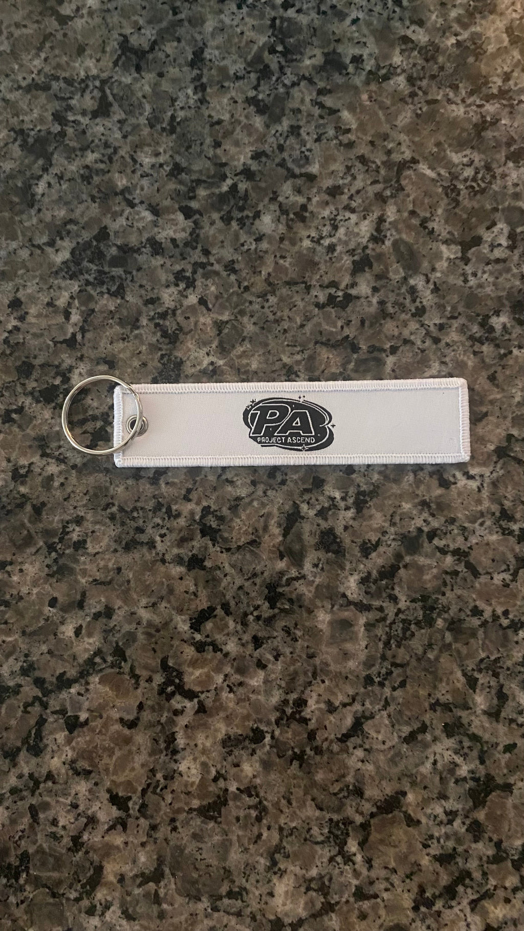 Project Ascend Key chain